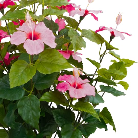 4ft. Potted Pink Hibiscus Tree by Ashland®